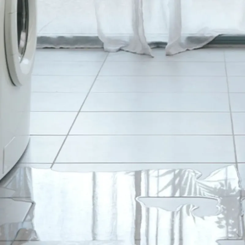 Appliance Leak Cleanup in Brighton, MI