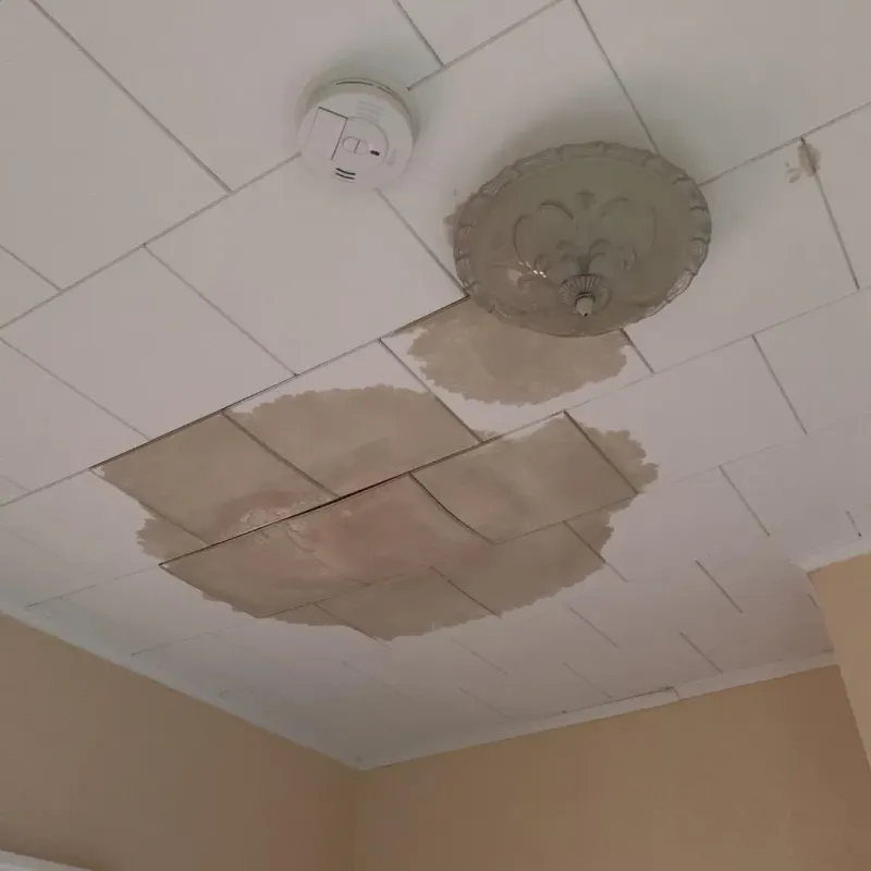 Ceiling Water Damage Repair in Brighton, MI