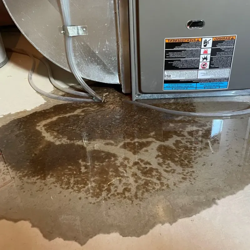 Pipe Burst and Leak Restoration in Brighton, MI